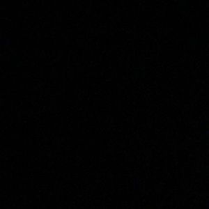 Meet your Posher, Carter